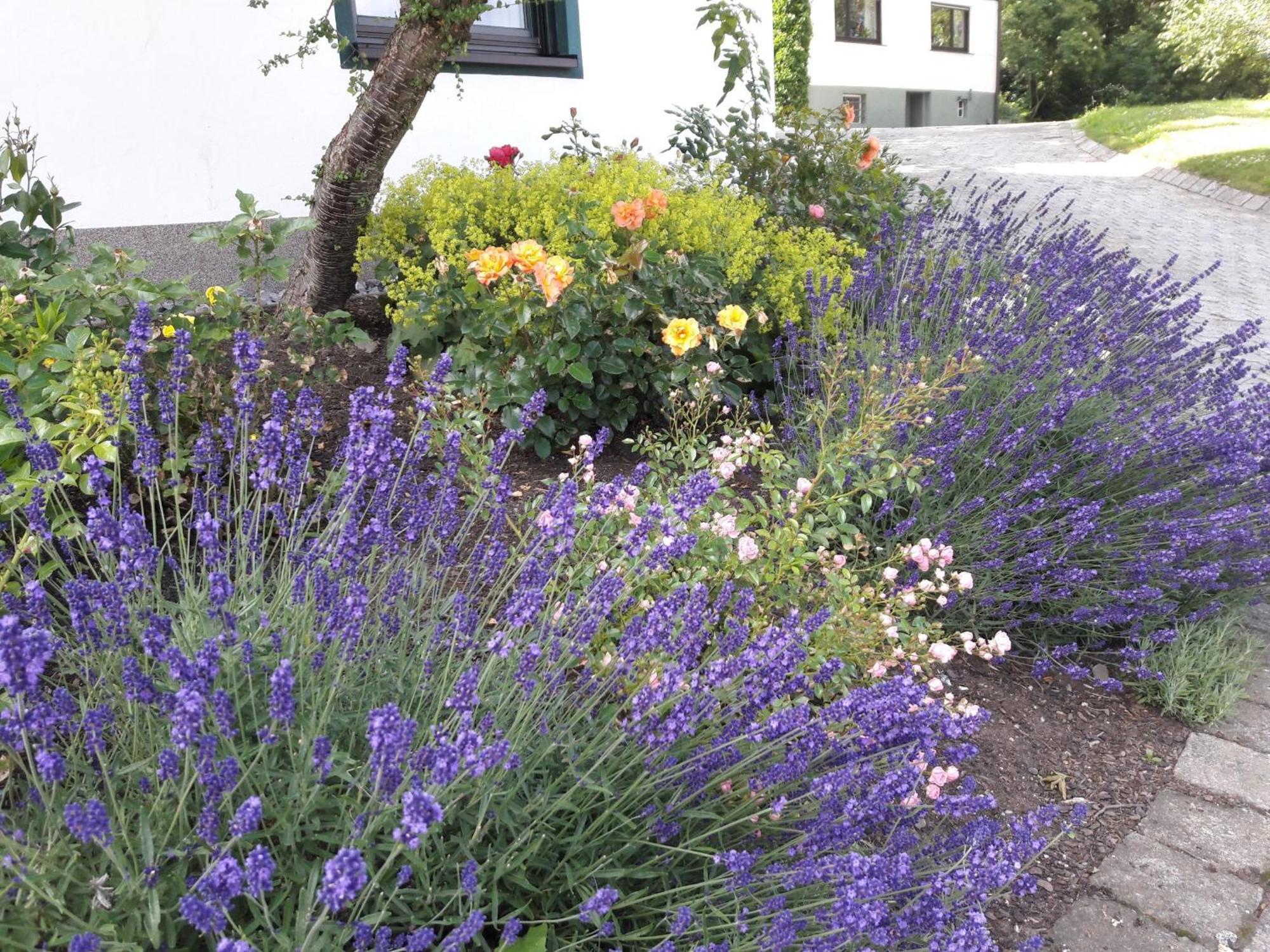 Ferienhaus Wasserfall Bestwig Exterior foto